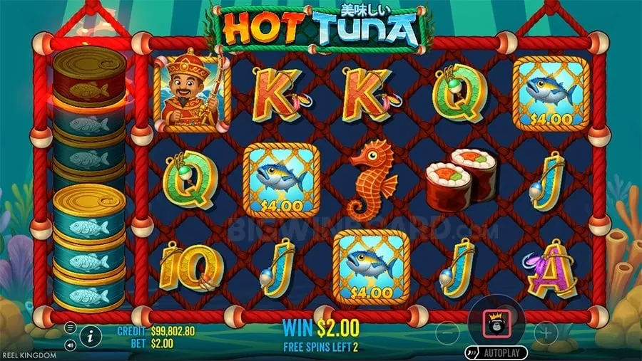 Live Casino Guide