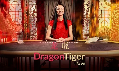 Microgaming Provider